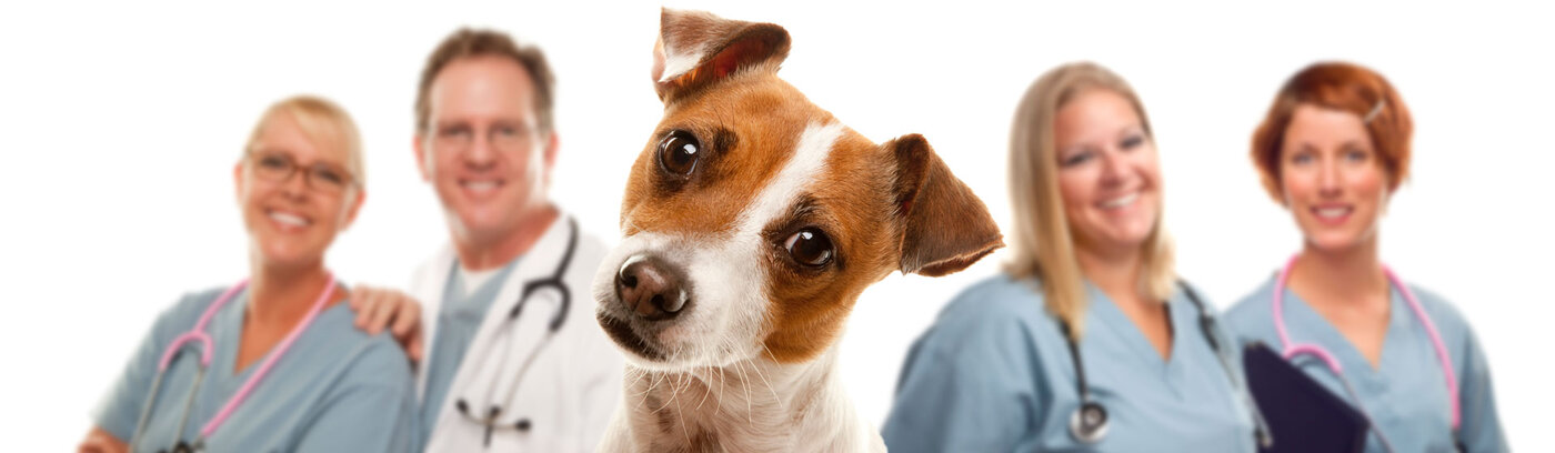 Keine Sorgen - Verag ist der Tierarzt Spezialist in Österreich für Unfallversicherung und Krankenversicherung